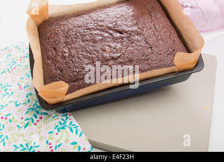 Lebkuchen in einer rechteckigen Zinn/Pfanne frisch aus dem Ofen [Land] "einen Kuchen zu machen" (4 von 22) Stockfoto