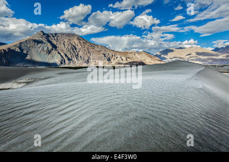 Sanddünen im Himalaya. Hunder, Nubra Tal, Ladakh, Indien Stockfoto