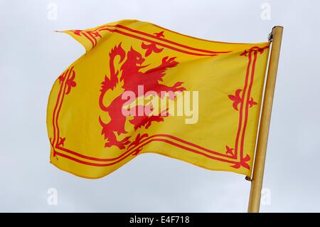 Schottischen royal standard-Flagge Stockfoto