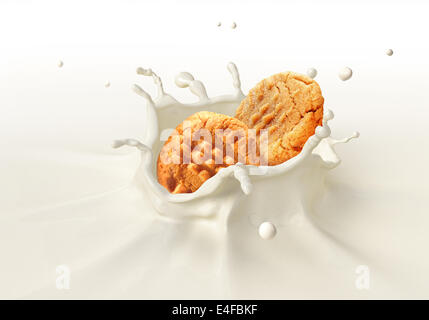 Zwei Cookies Kekse in Milch bilden eine Krone Splash fallen. Auf weißem Hintergrund. Stockfoto