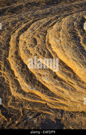 Felsformationen, The Needles Sektion des Canyonlands National Park, Utah, USA Stockfoto