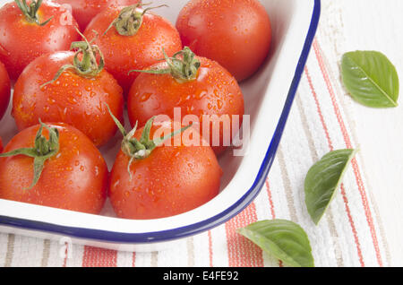 frisch gewaschene Tomaten in eine Schüssel Emaille und Basilikum Blätter Stockfoto