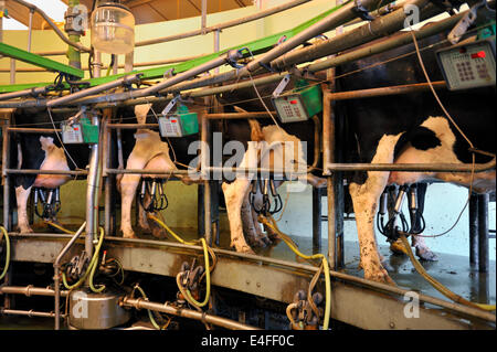 Rotary Melken Stube Pembrokeshire, Wales, UK Stockfoto