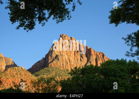 Sonnenuntergang über Zion Nationalpark, Utah, USA Stockfoto