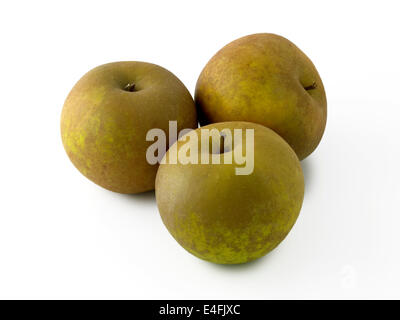 Egremont Russet Apfel Stockfoto