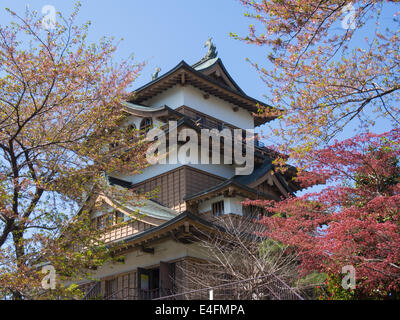 Takashima Schloss in Suwa, Nagano, Japan Stockfoto