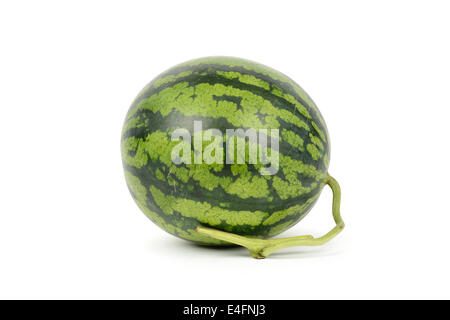 ganze Ansicht der frische Wassermelone, isoliert auf weiss Stockfoto