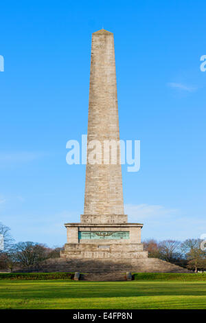 Wellington Denkmal im Phoenix Park in sonnigen Tag. Dublin, Irland Stockfoto