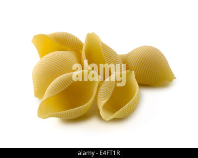 Nudeln, Conchiglie rigate Stockfoto