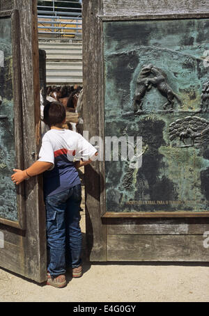 ein Kind ist gerade im Inneren die Arena genannt "Curro" wo findet die Rapa Das Bestas in Region Sabucedo, Galicien, Spanien Stockfoto
