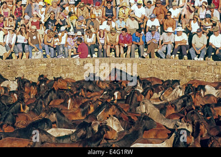 Ein großes Publikum, das während der A Rapa das Bestas in Sabucedo, A Estrada, Galicien, Spanien, um den Outdoor-Stift namens 'curro' saß Stockfoto