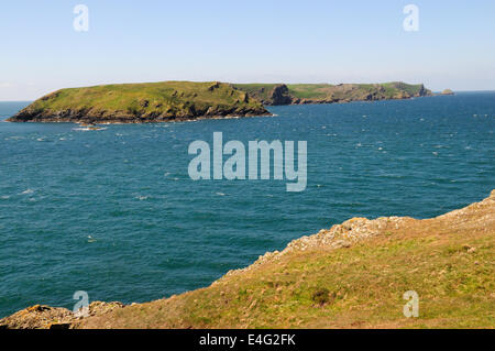 Skomer Island von einer Landzunge in der Nähe von St Martins Haven Pembrokeshire Stockfoto