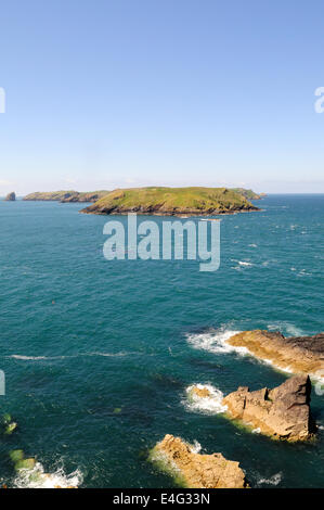 Skomer Island von einer Landzunge in der Nähe von St Martins Haven Pembrokeshire Stockfoto