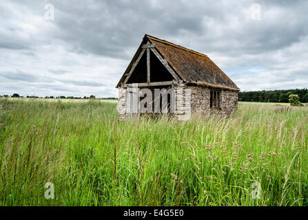 Ein verfallenes landwirtschaftliches Gebäude auf einem Feld am Scawton, in der Nähe von Sutton Bank Stockfoto