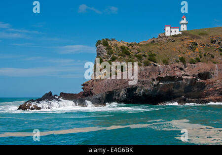 Leuchtturm am Taiaroa Head auf Otago Peninsula, Dunedin, Neuseeland. Stockfoto