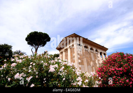 Rom. 10. Juli 2014. Foto aufgenommen am 10. Juli 2014 zeigt der wiedereröffneten Tempel Portunus in Rom, Hauptstadt Italiens. Der Tempel des Portunus eröffnet hier Mittwoch nach einer langen Zeit Restaurierung von World Monuments Fund unterstützt. Tempel des Portunus wurde 75 v. Chr. erbaut, und es war der Haupttempel der Gott Portunus in Rom gewidmet. © Xu Nizhi/Xinhua/Alamy Live-Nachrichten Stockfoto