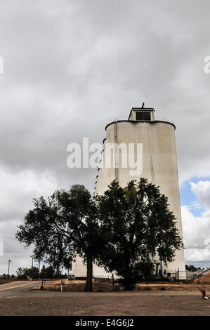 Reihen von großen Getreidesilos entlang einer Landstraße im Norden zentralen Colorado, USA Stockfoto