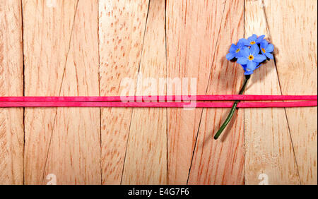 "forget me not"-Blume befestigt mit einer roten Schleife Band auf einer Holzwand Stockfoto