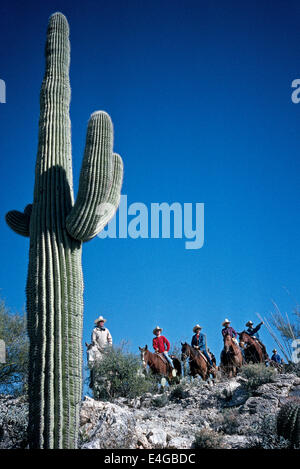 Ein hoch aufragenden Saguaro-Kaktus Rahmen für eine Gruppe von Guest Ranch Reiter, die pause während ihrer Wanderritt an der Sonora-Wüste in Arizona, USA. Stockfoto