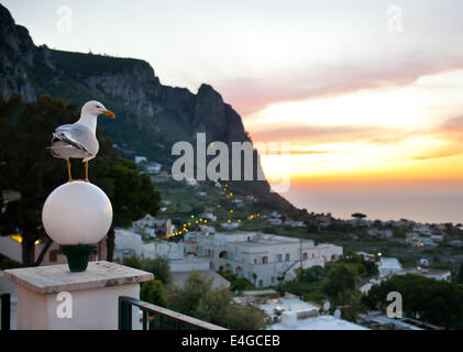 Sonnenuntergang auf der Insel Capri mit typischen Dorf. Stockfoto