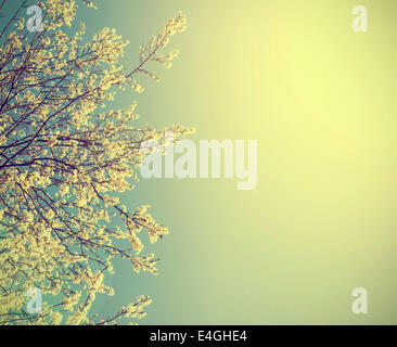 Vintage Natur Hintergrund. Stockfoto