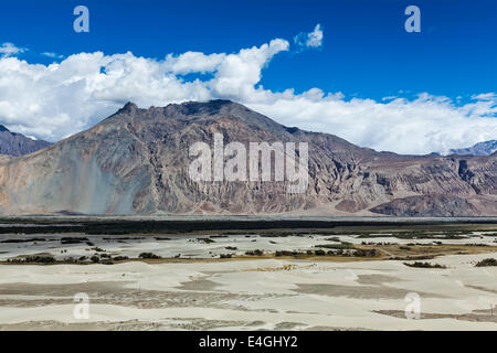 Nubra Tal im Himalaya. Ladakh, Indien Stockfoto