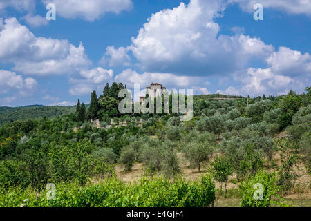 Typische Landschaft mit Weinbergen und Olivenhainen in Toskana, Italien, Europa Stockfoto