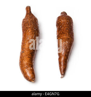 Maniok oder Maniok Wurzeln (Manihot Esculenta) isoliert auf einem weißen Studio-Hintergrund. Stockfoto