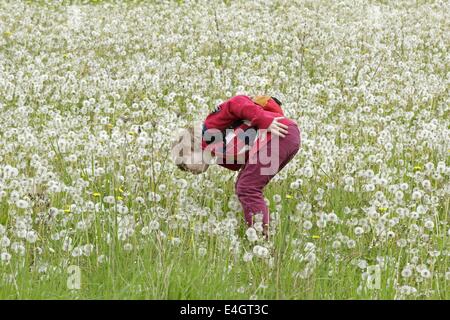 kleiner Junge in einer Wiese voller Löwenzahn Uhren Stockfoto