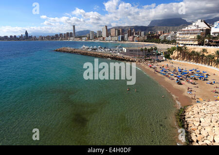 Blick auf Playa De Poniente Strand, Benidorm Resort, Costa Blanca, Provinz Valencia, Spanien, Europa. Stockfoto