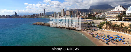 Blick auf Playa De Poniente Strand, Benidorm Resort, Costa Blanca, Provinz Valencia, Spanien, Europa. Stockfoto
