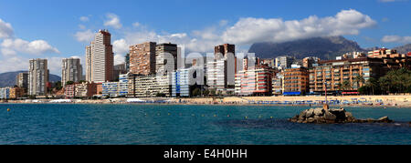 Blick auf Playa De Poniente Strand, Benidorm Resort, Costa Blanca, Provinz Valencia, Spanien, Europa. Stockfoto