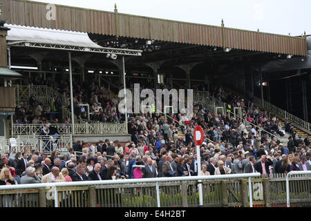 Newmarket, Großbritannien. 11. Juli 2014. Moet &amp; Chandon Juli Festival QUIPCO Gentlemans Tag. Menschenmassen auf dem Juli-Festival. Bildnachweis: Aktion Plus Sport/Alamy Live-Nachrichten Stockfoto