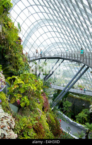 Der Nebelwald Gehweg "Gärten von The Bay Singapore" Stockfoto