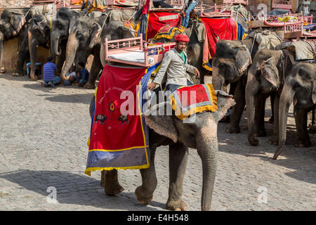 Elefant im Amber Fort, herrliche befestigten Palast in der Nähe von Jaipur. Diese Maharadscha-Residenz Stockfoto