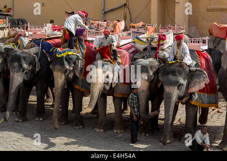 Elefant im Amber Fort, herrliche befestigten Palast in der Nähe von Jaipur. Diese Maharadscha-Residenz Stockfoto