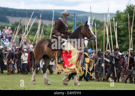 Reenactment der Schlacht von Bannockburn mit Robert The Bruce bei Bannockburn Leben 700 Jahre Gedenken an die Schlacht, Schottland. Stockfoto