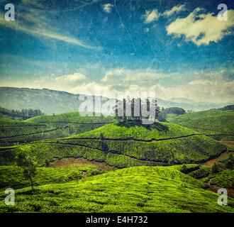 Vintage Retro-Hipster Stil reisen Bild der Teeplantagen mit Grunge Texturen überlagert. Munnar, Kerala, Indien Stockfoto