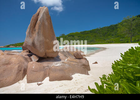 Fernbedienung tropischen Strand mit schönen weißen Sand und keine Menschen Stockfoto