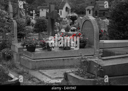 Rot und Scarlet Blumen, Rosen in einem schwarzen & weiße Foto der Gedenkpark Friedhof Pere Lachaise in Paris Stockfoto