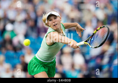 AEGON International 2014 - übergab Caroline Wozniacki aus Dänemark in Aktion spielen einzelne Rückhand Stockfoto