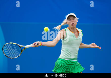 Caroline Wozniacki - AEGON International 2014 - Eastbourne - England, Caroline Wozniacki aus Dänemark in Aktion spielen einzelne han Stockfoto