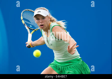 AEGON International 2014 - übergab Caroline Wozniacki aus Dänemark in Aktion spielen einzelne Vorhand. Stockfoto