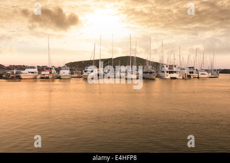 Gruppe von Yachten im Hafen festgemacht Stockfoto