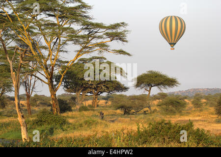 Grüne und gelbe Ballon fliegen über der Savanne Serengeti Nationalpark, Tansania Stockfoto