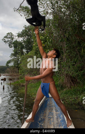 Klammeraffe an Dorfbewohner des Stammes Native Indian Embera, Embera Dorf, Panama. Panama Embera Menschen indischen Dorf einheimisches Stockfoto