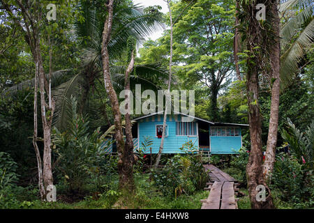 Haus In der Ngobe Bugle Indianerdorf von Salt Creek in der Nähe von Bocas Del Toro Panama. Salt Creek (auf Spanisch: Quebrada Sal) ist ein Ngö Stockfoto