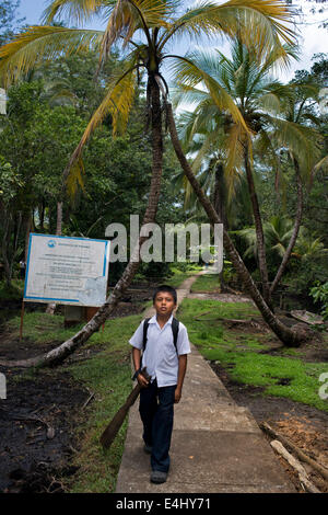 Junge in einem Pier des Eingang an der Ngobe Bugle indischen Dorf Salt Creek in der Nähe von Bocas Del Toro Panama-Kanals. Salt Creek Stockfoto