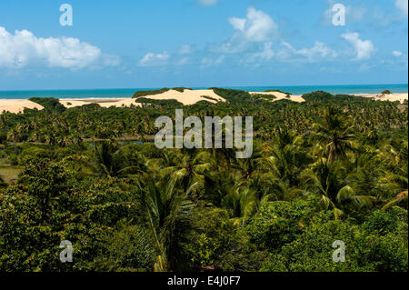 Pirambu Strand, Dünen und tropischer Vegetation. Sergipe Zustand, Nordosten von Brasilien. Stockfoto