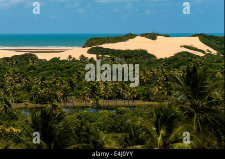 Pirambu Strand, Lagune mit frischem Wasser und tropische Vegetation. Sergipe Zustand, Nordosten von Brasilien. Stockfoto